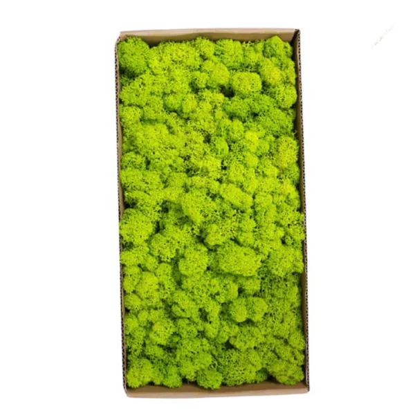 1500g Simulation Plants Eternal Life Moss /Garden Home Decor Wall DIY Flower Material Mini Garden Micro Landscape Fake Moss Gift