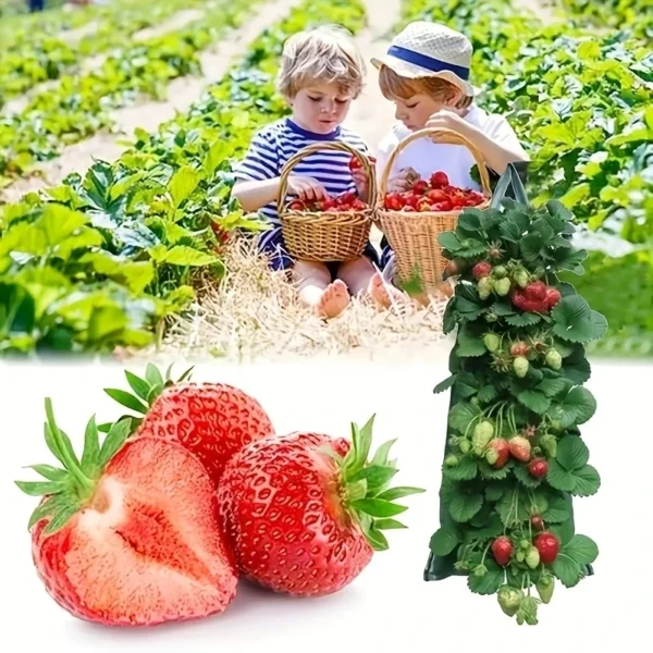 New Fabric Flower Bag Strawberry Growing Bag Plant Pot Wall Hanging Planter Vertical Vegetables Potatoes Greenhouse Garden Tools